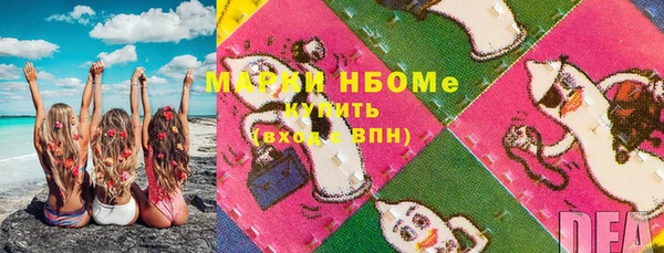 прущие грибы Алексеевка