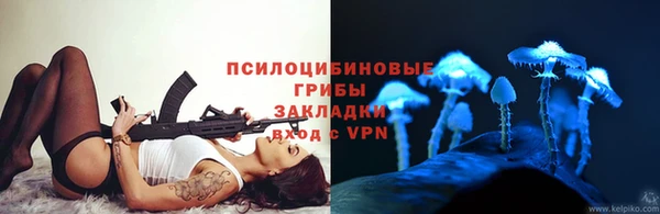 прущие грибы Алексеевка