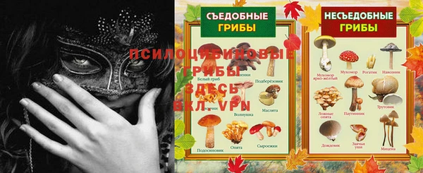 прущие грибы Алексеевка