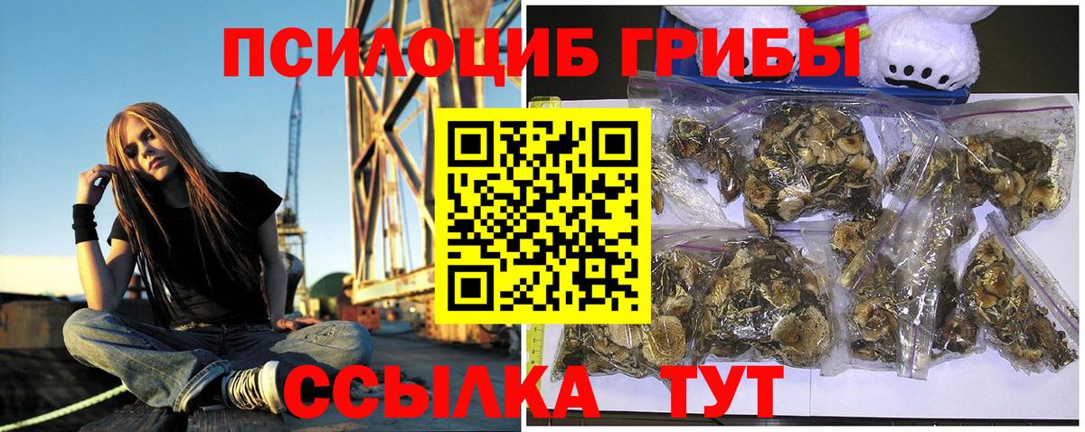 Галлюциногенные грибы Psilocybe  Вход с VPN  Анжеро-Судженск 